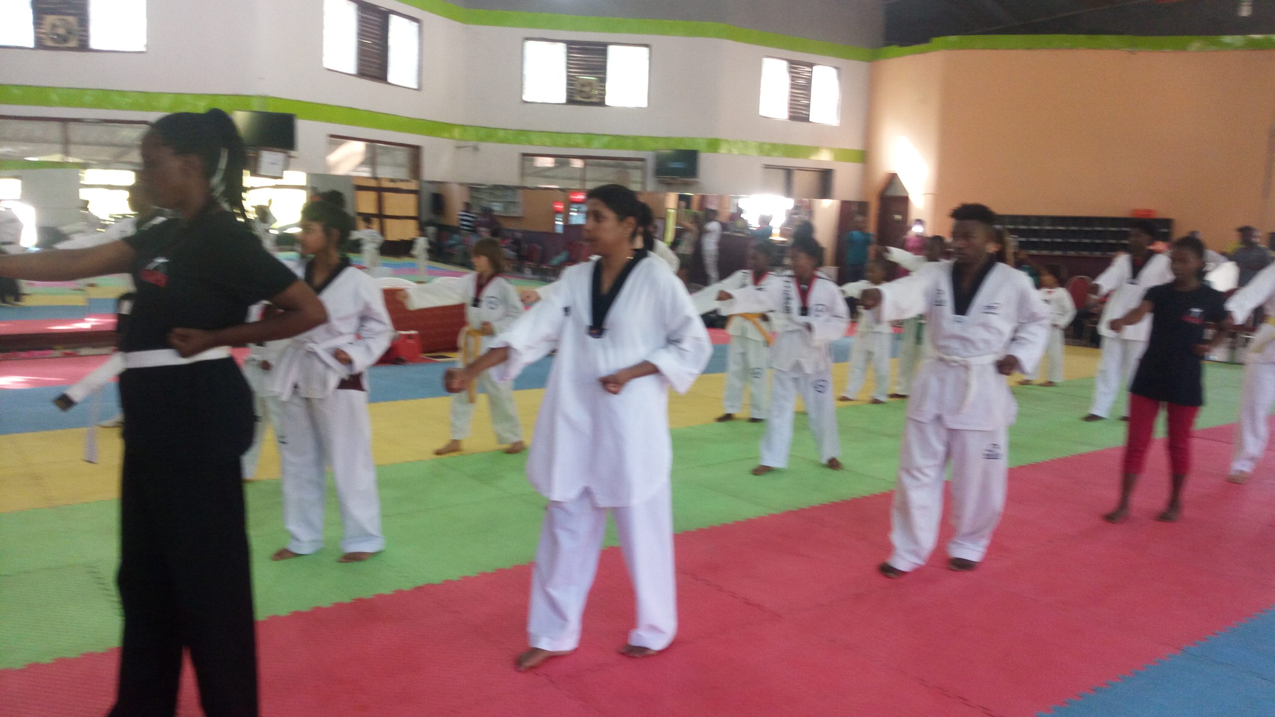 Taekwondo as a Path to a Healthy Lifestyle