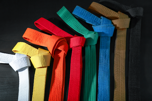 The Journey from White Belt to Black Belt