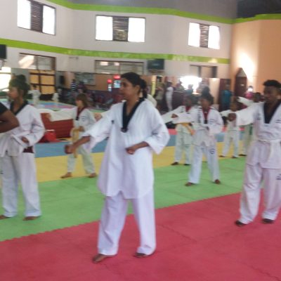 Taekwondo as a Path to a Healthy Lifestyle