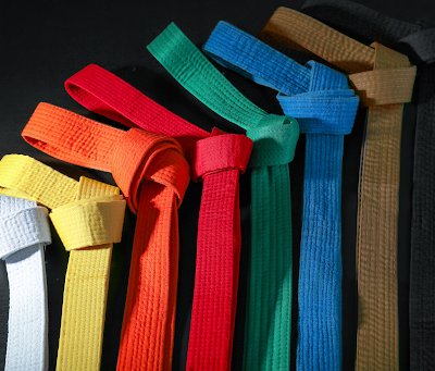 The Journey from White Belt to Black Belt