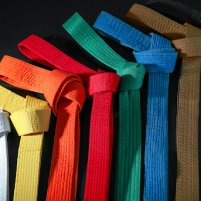 The Journey from White Belt to Black Belt